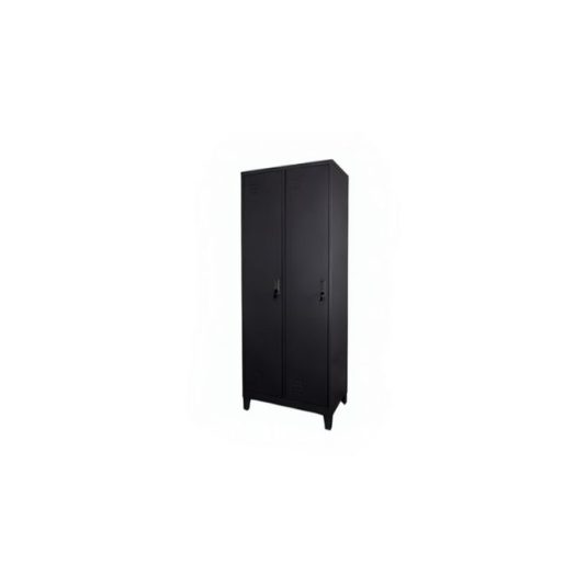 Locker 2 puertas, metal