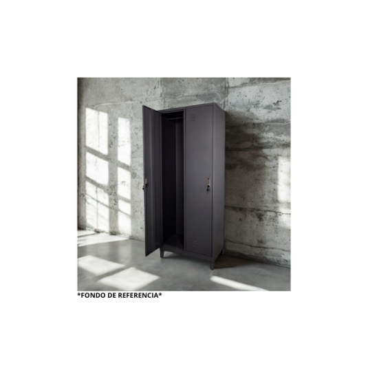 locker 2 puertas, metal